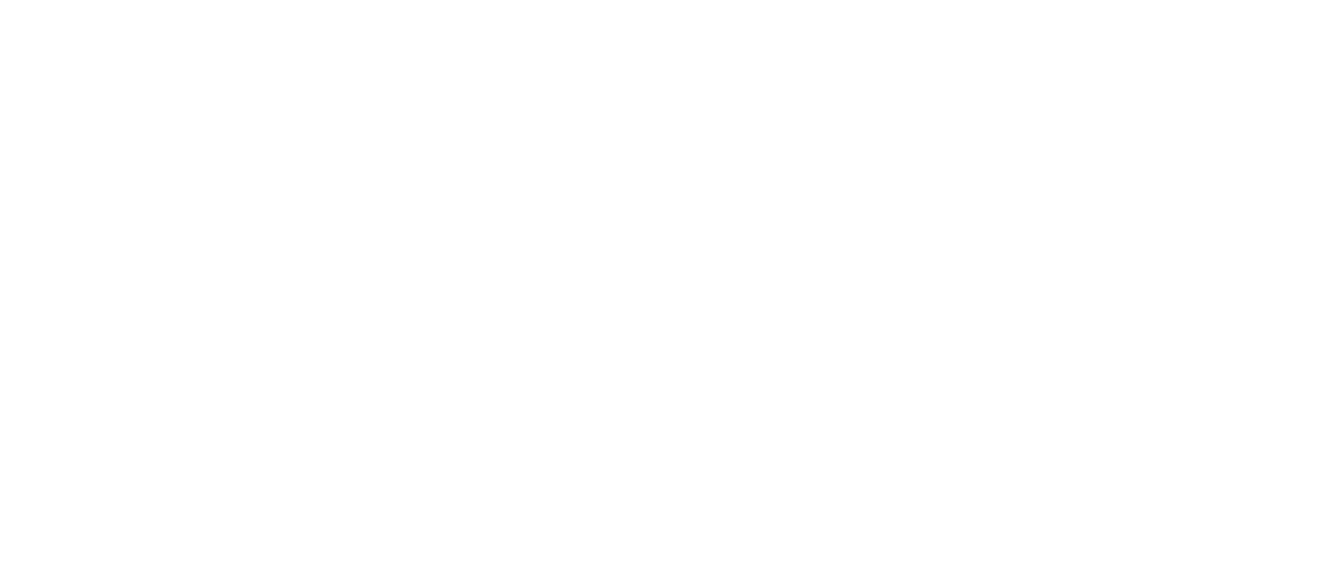 Logo-Bonimusik_weiss